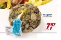 vongolen
