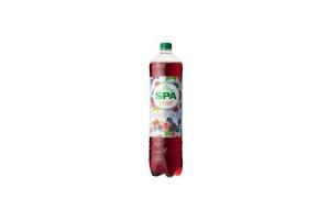 spa fruit koolzuurhoudend forest fruit 15 liter