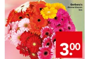 gerberas