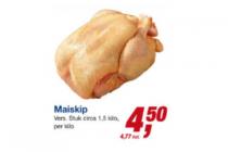 maiskip