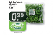 babyleaf slamix of rucola