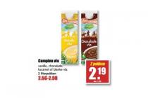 campina vla