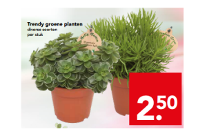 trendy groene planten