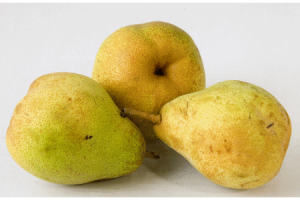 doyenne du comice handperen 1kg