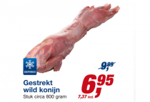 gestrekt wild konijn