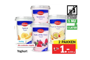 yoghurt alle combinaties mogelijk 2 x 500 gram