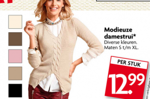 modieuze damestrui