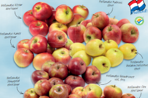 hollandse appels