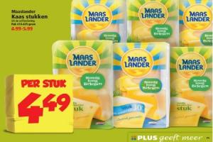 maaslander kaas stukken