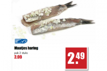 maatjes haring