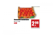 clementine mandarijnen