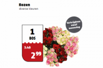 rozen