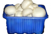 merkloos bij hoogvliet champignons 400gram
