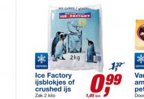 ice factory ijsblokjes of crushed ijs