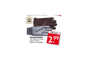 handschoenen