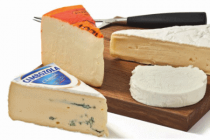 plus ambachtelijke roombrie cambozola chevre blanc of port salut