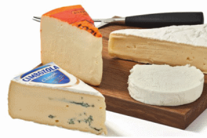 plus ambachtelijke roombrie cambozola chevre blanc of port salut