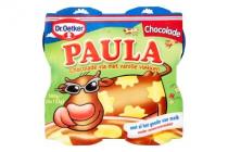 dr. oetker paula chocolade met vanillevlekken