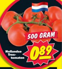hollandse trostomaten