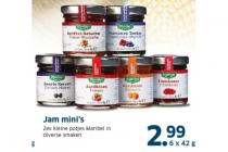 jam minis