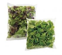 rucola naturel of melange veldsla of jonge bladsla