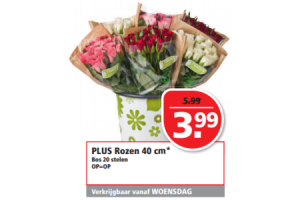 plus rozen 40 cm