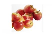 kanzi of rubens appels