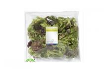 veldsla rucola naturel jonge bladsla of rucola melange