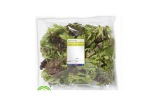 veldsla rucola naturel jonge bladsla of rucola melange
