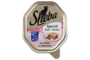 sheba special zalm