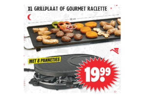 xl grilplaat of gourmet raclette