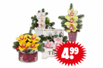 orchidee kerststukje