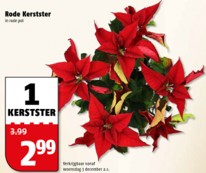 rode kerstster