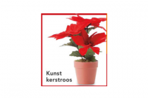 kunst kerstroos