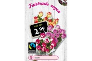 fairtrade rozen