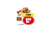 hollandse elstar appels