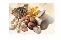 paddenstoelen luxe mix
