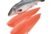 zalmfilet superior quality