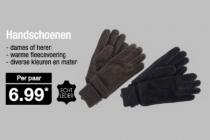 handschoenen