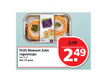 plus moment zalm ragoutcups