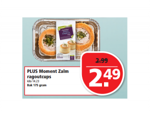plus moment zalm ragoutcups