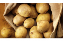 zilte aardappel