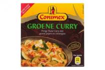 conimex groene curry