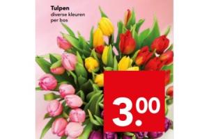 tulpen diverse kleuren euro300