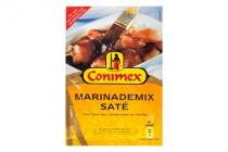 conimex mix voor marinade sate