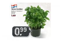 verse kruiden