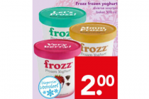 frozz frozen yoghurt