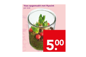 vaas opgemaakt met hyacint