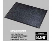 droogloopmat