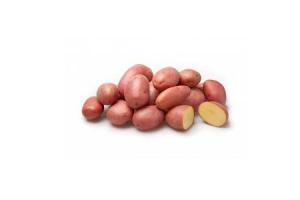 roseval aardappelen